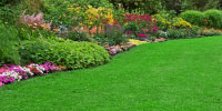 Lawn Care Landscaping